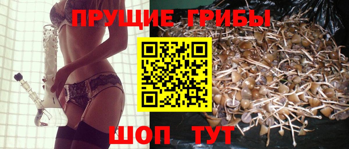 Дзержинский  Галлюциногенные грибы Psilocybe  Вход с VPN  Псилоцибиновые грибы Psilocybine cubensis 